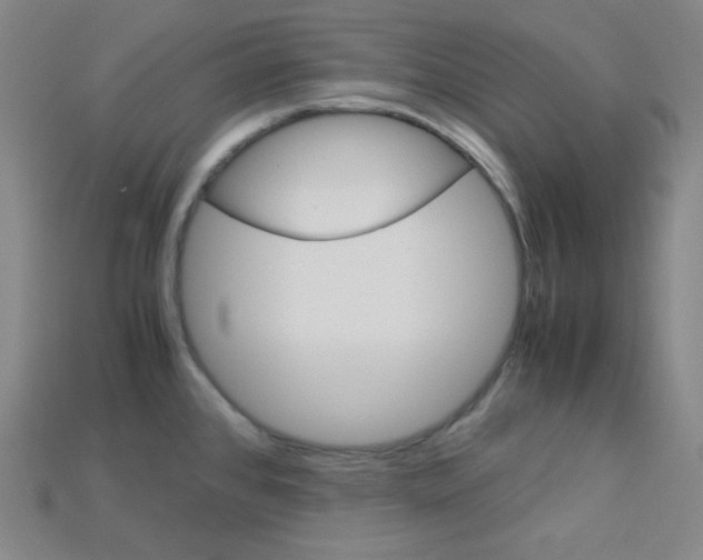 X0000115211384200911121855