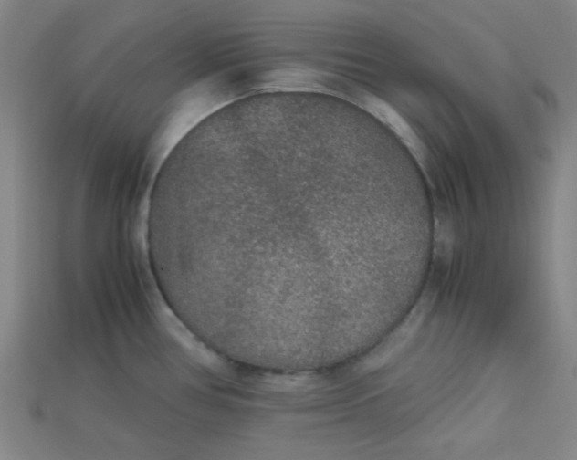 X0000115211386200911121855