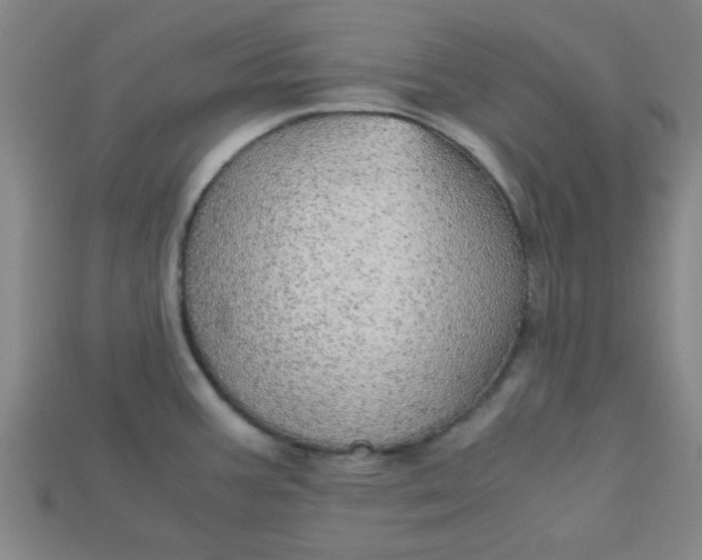 X0000115211387200911121855