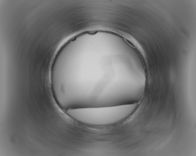X0000115211388200911121855