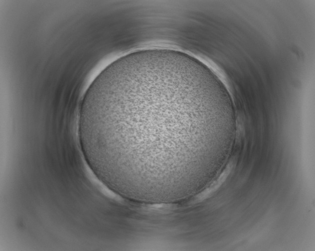 X0000115211390200911121855