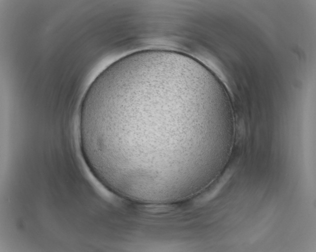 X0000115211391200911121855