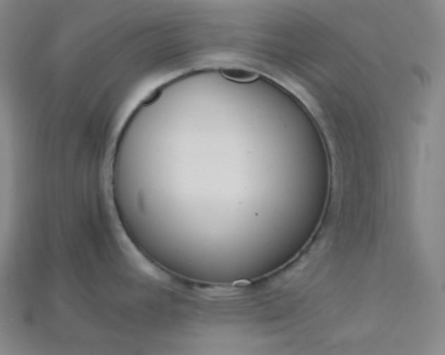 X0000115211392200911121855