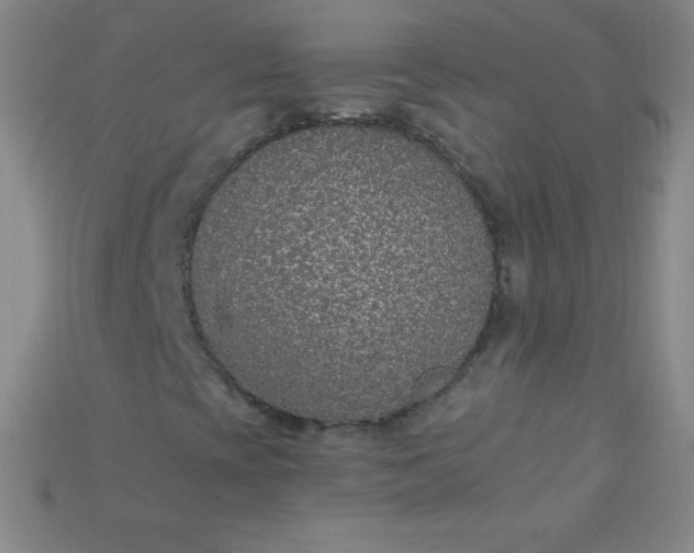 X0000115211393200911121854