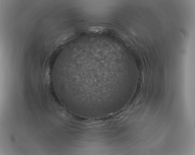 X0000115211394200911121854