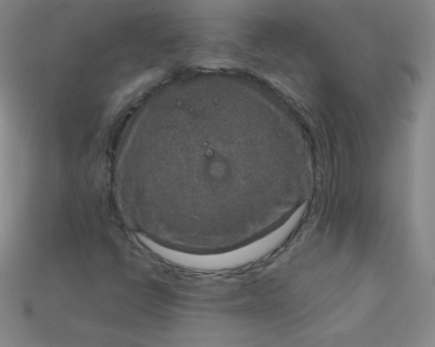 X0000115211398200911121854