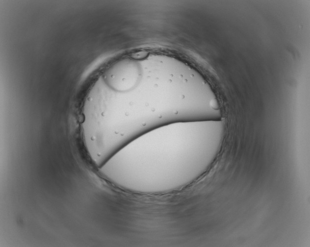 X0000115211400200911121854
