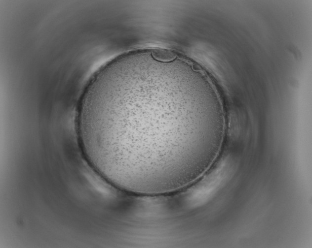 X0000115211404200911121854