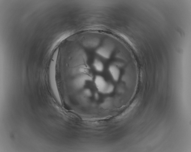 X0000115211405200911121854