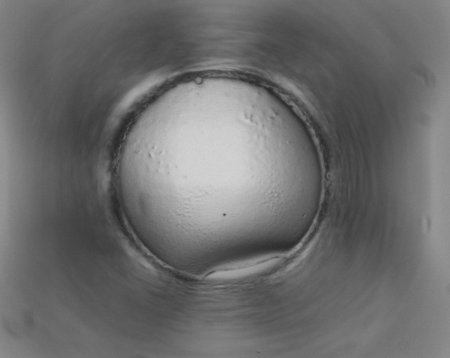 X0000115211406200911121855