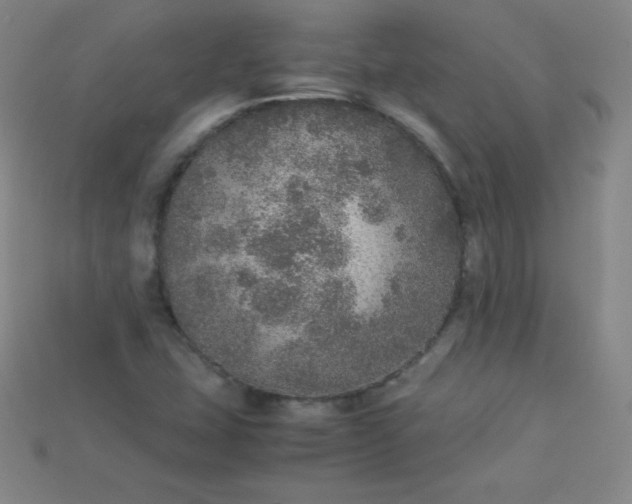 X0000115211407200911121855