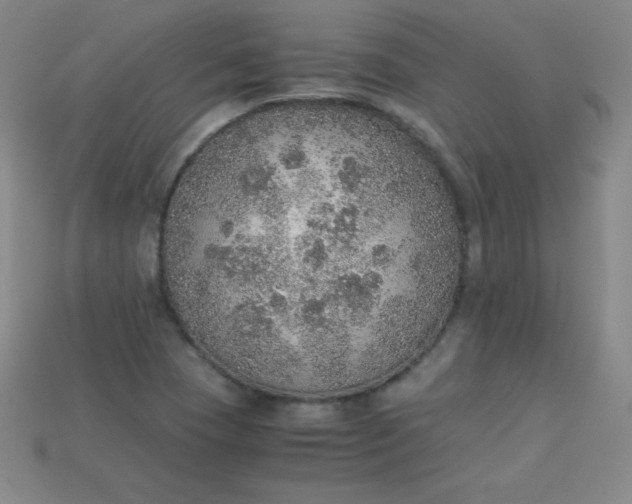 X0000115211409200911121855