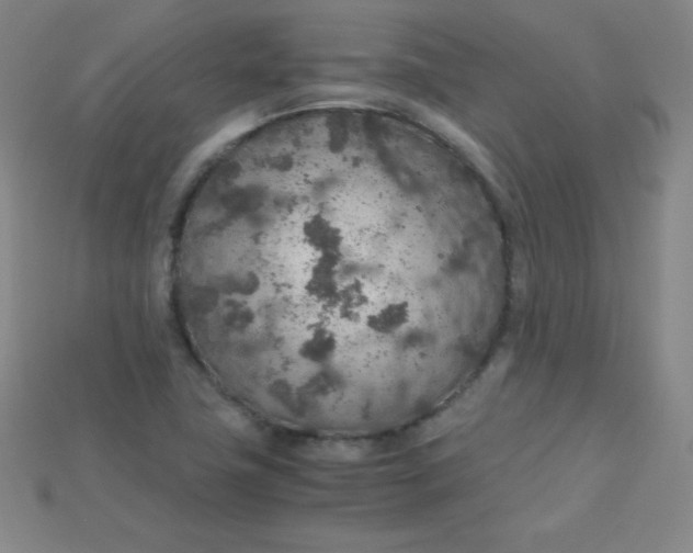 X0000115211411200911121855