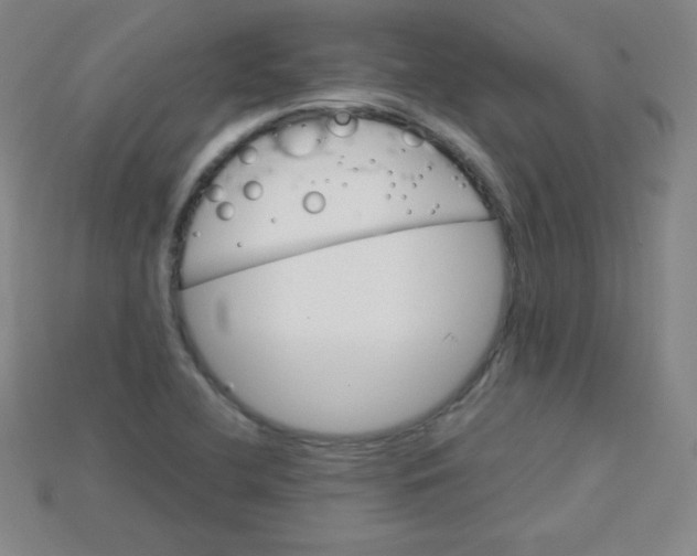 X0000115211412200911121855