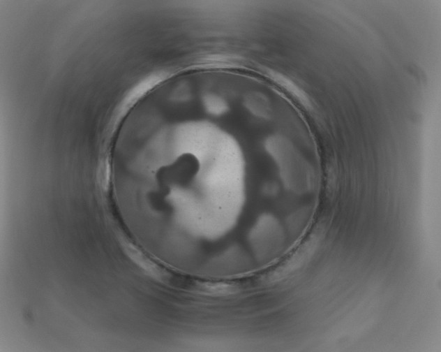 X0000115211413200911121855