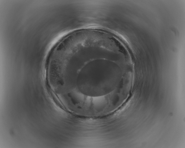 X0000115211414200911121855