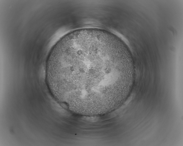 X0000115211415200911121855