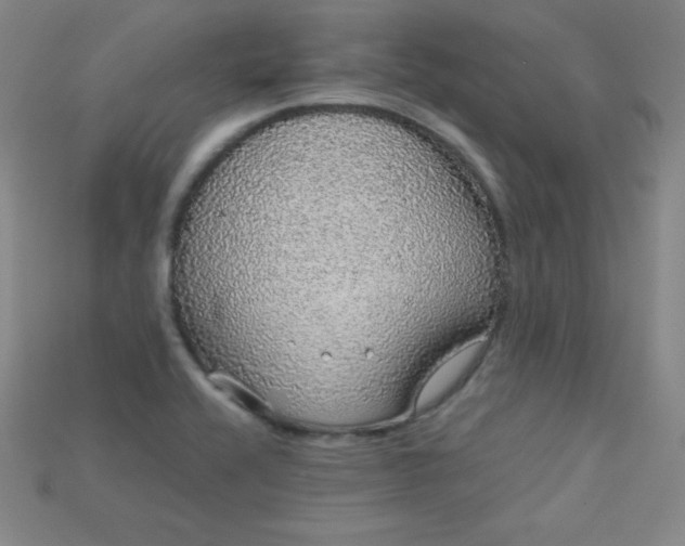 X0000115211416200911121855