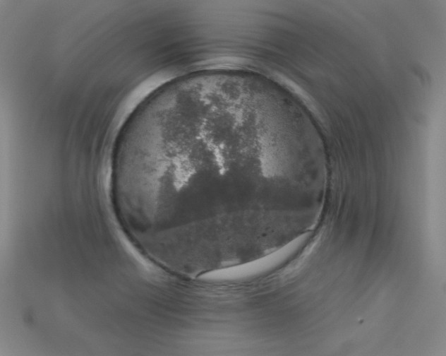X0000115211418200911121855