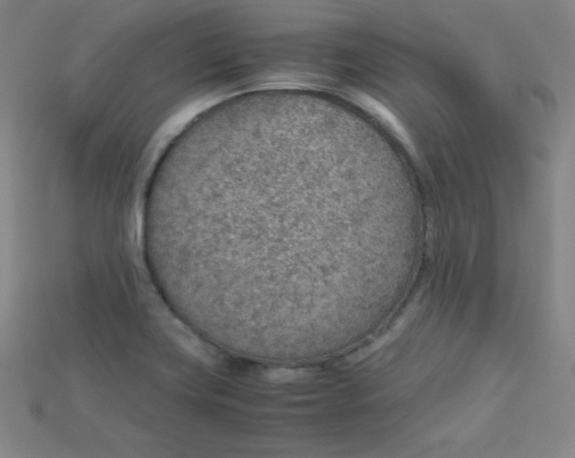 X0000115211419200911121855
