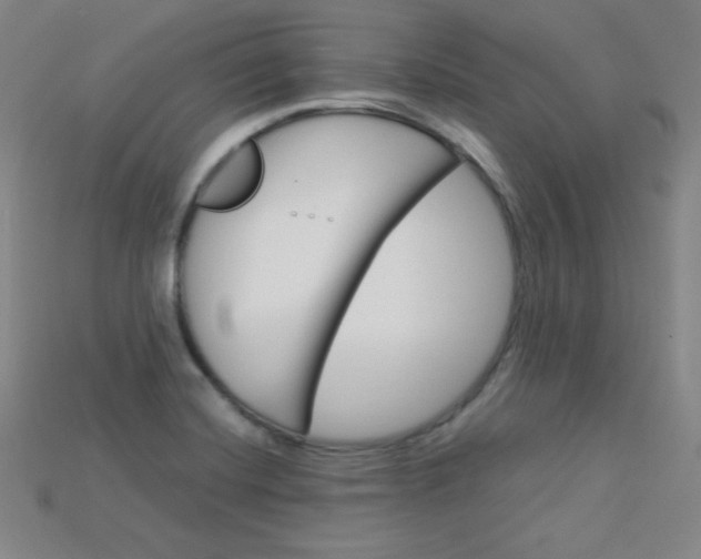 X0000115211420200911121855