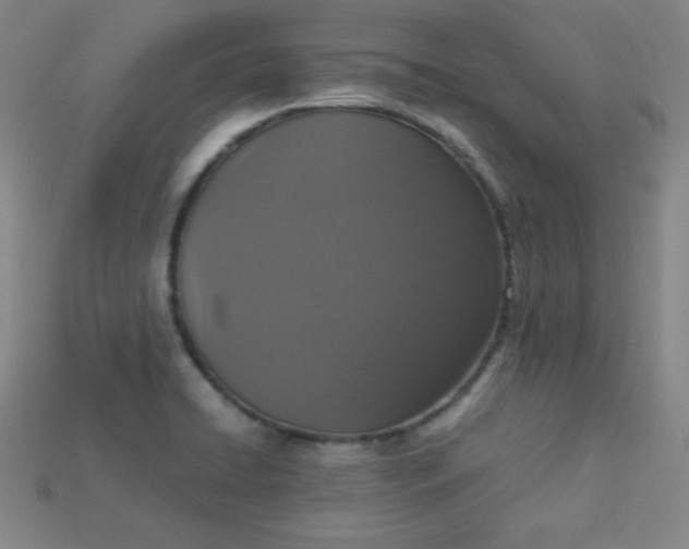 X0000115211422200911121855
