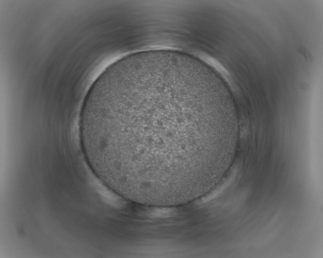 X0000115211423200911121855