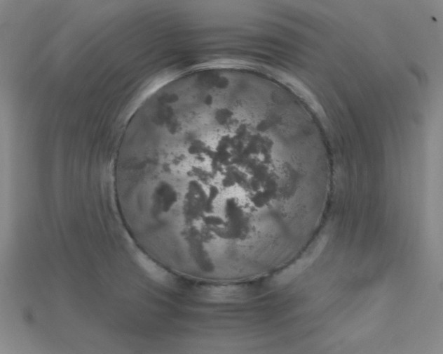 X0000115211425200911121855
