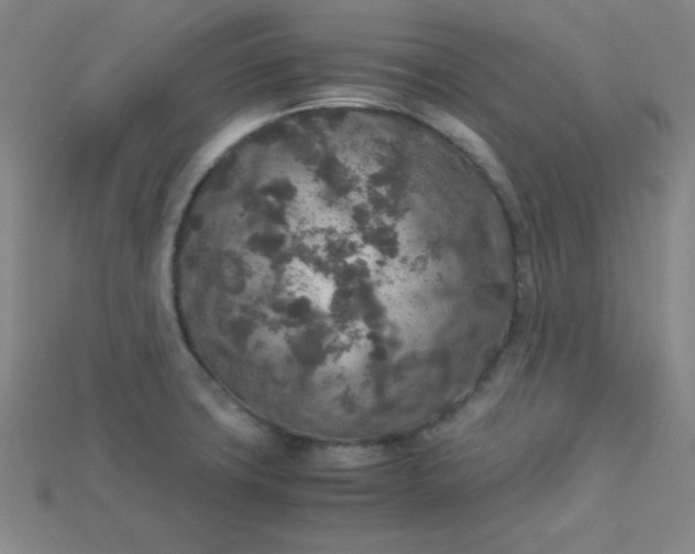 X0000115211427200911121855