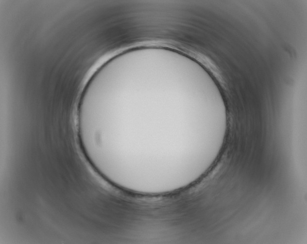 X0000115211428200911121855