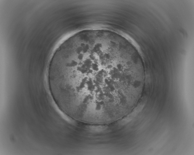X0000115211429200911121855