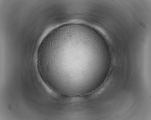 X0000115211430200911121855