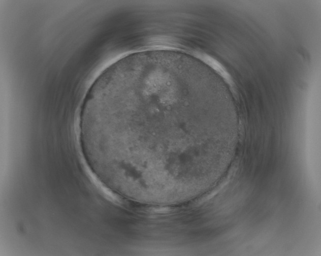 X0000115211431200911121855