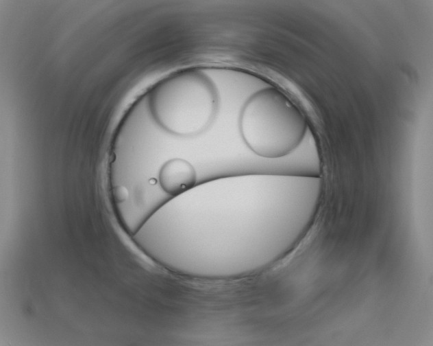 X0000115211432200911121855