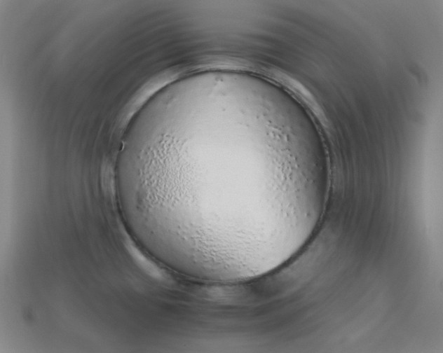 X0000115211433200911121855