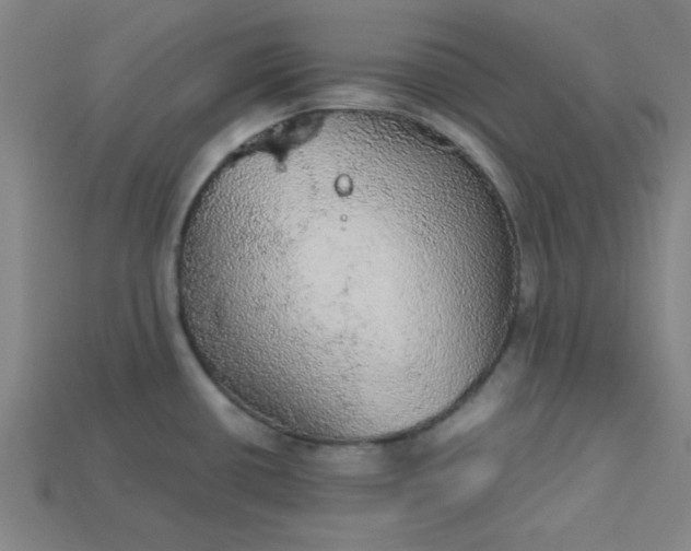 X0000115211434200911121855