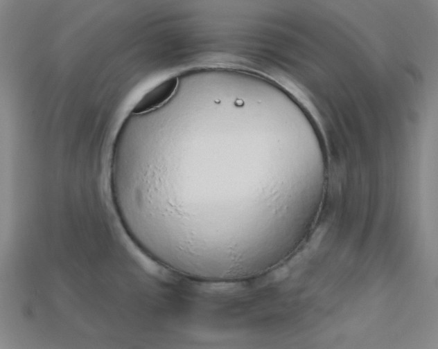 X0000115211437200911121855