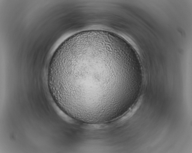X0000115211438200911121855