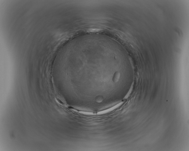 X0000115211441200911121854