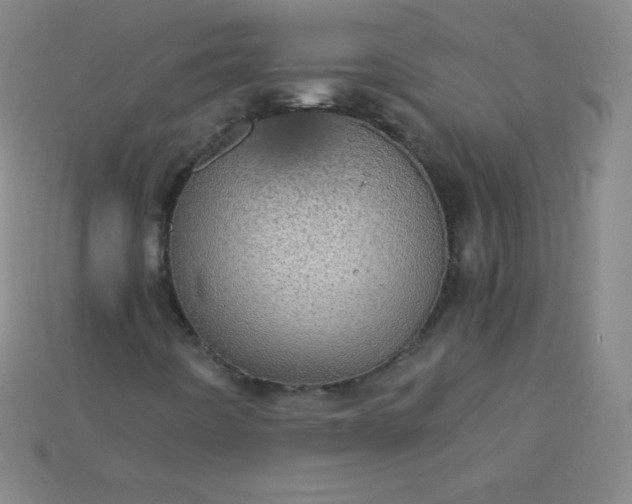 X0000115211442200911121854