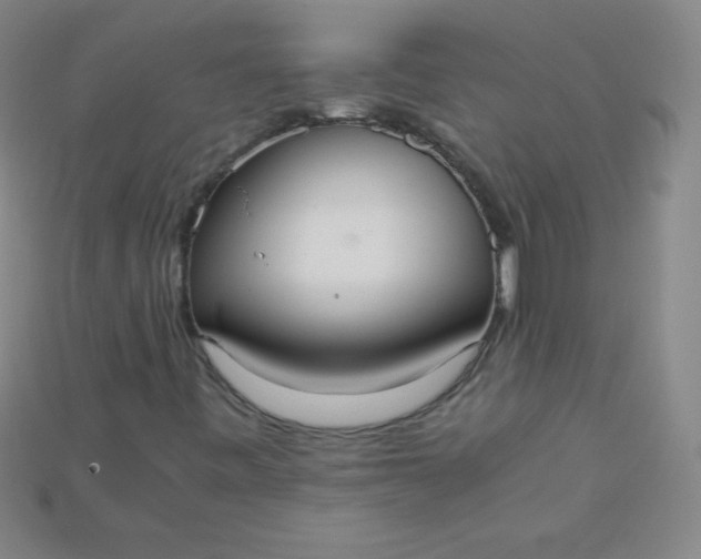 X0000115211443200911121854