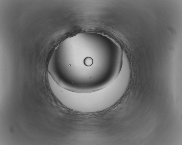 X0000115211445200911121854