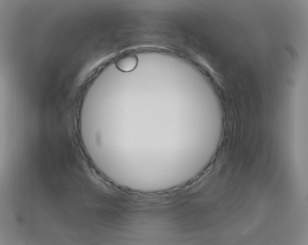 X0000115211448200911121854