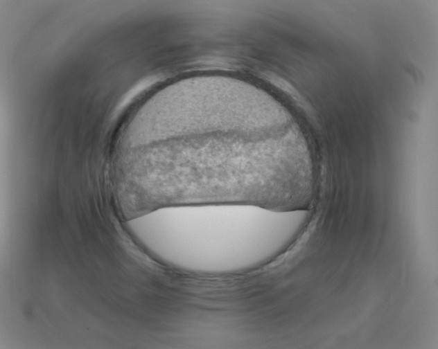 X0000115211450200911121854