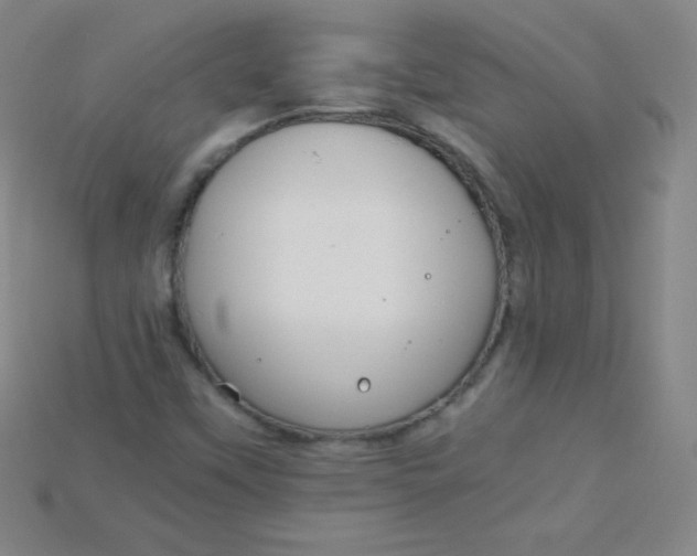X0000115211451200911121854