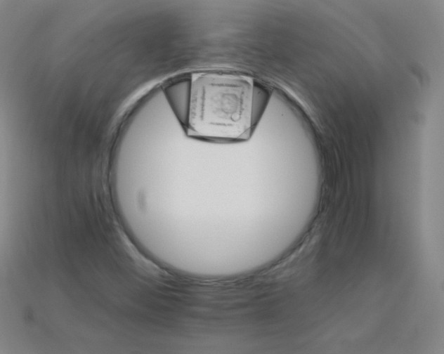 X0000115211452200911121854