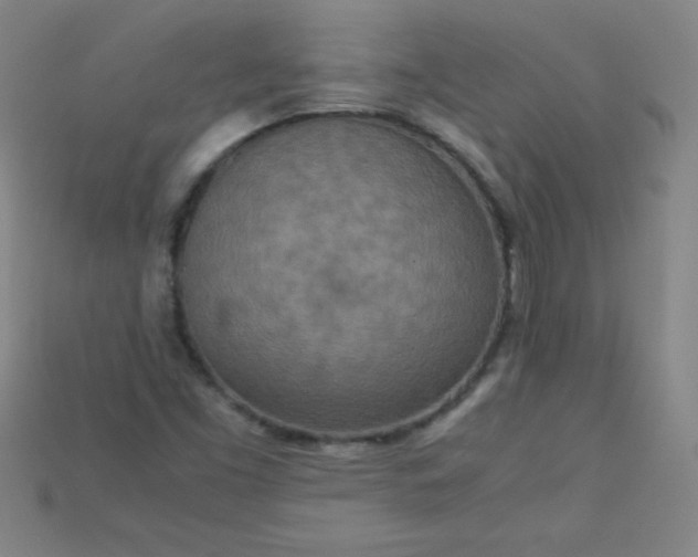 X0000115211453200911121854