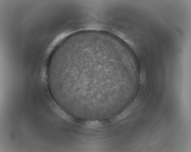 X0000115211454200911121854