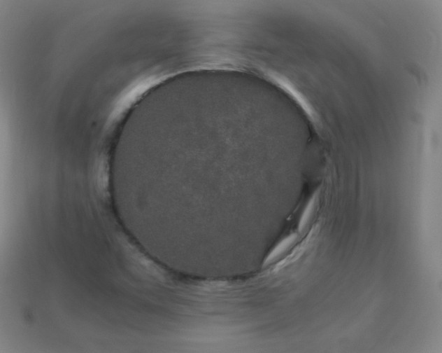 X0000115211455200911121854