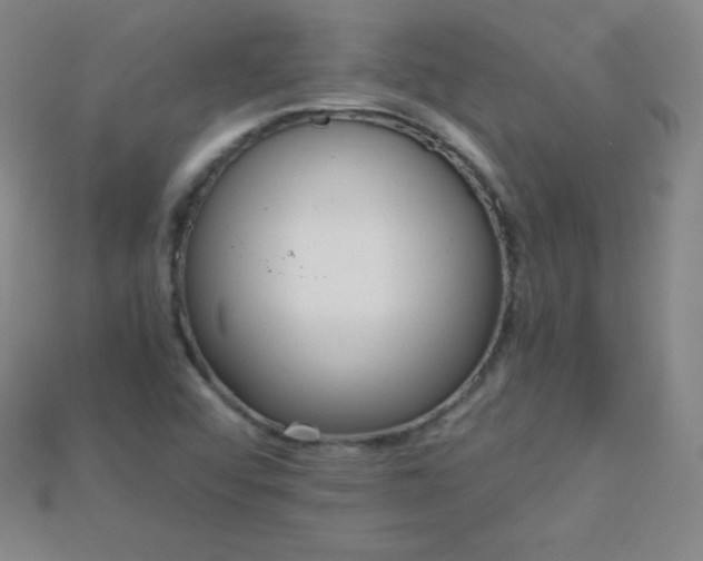 X0000115211456200911121854